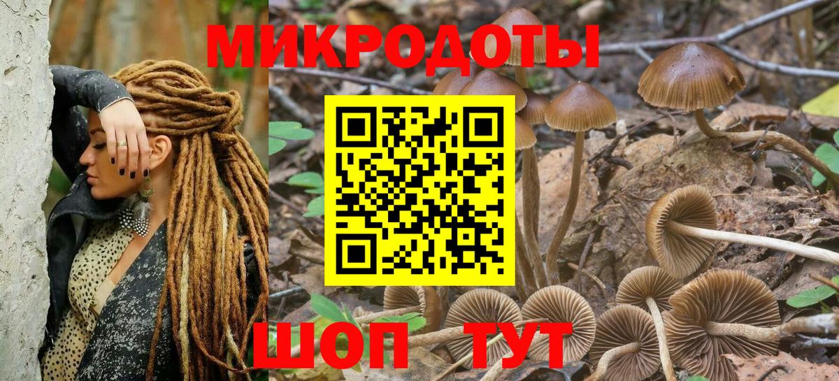 Галлюциногенные грибы GOLDEN TEACHER Костомукша